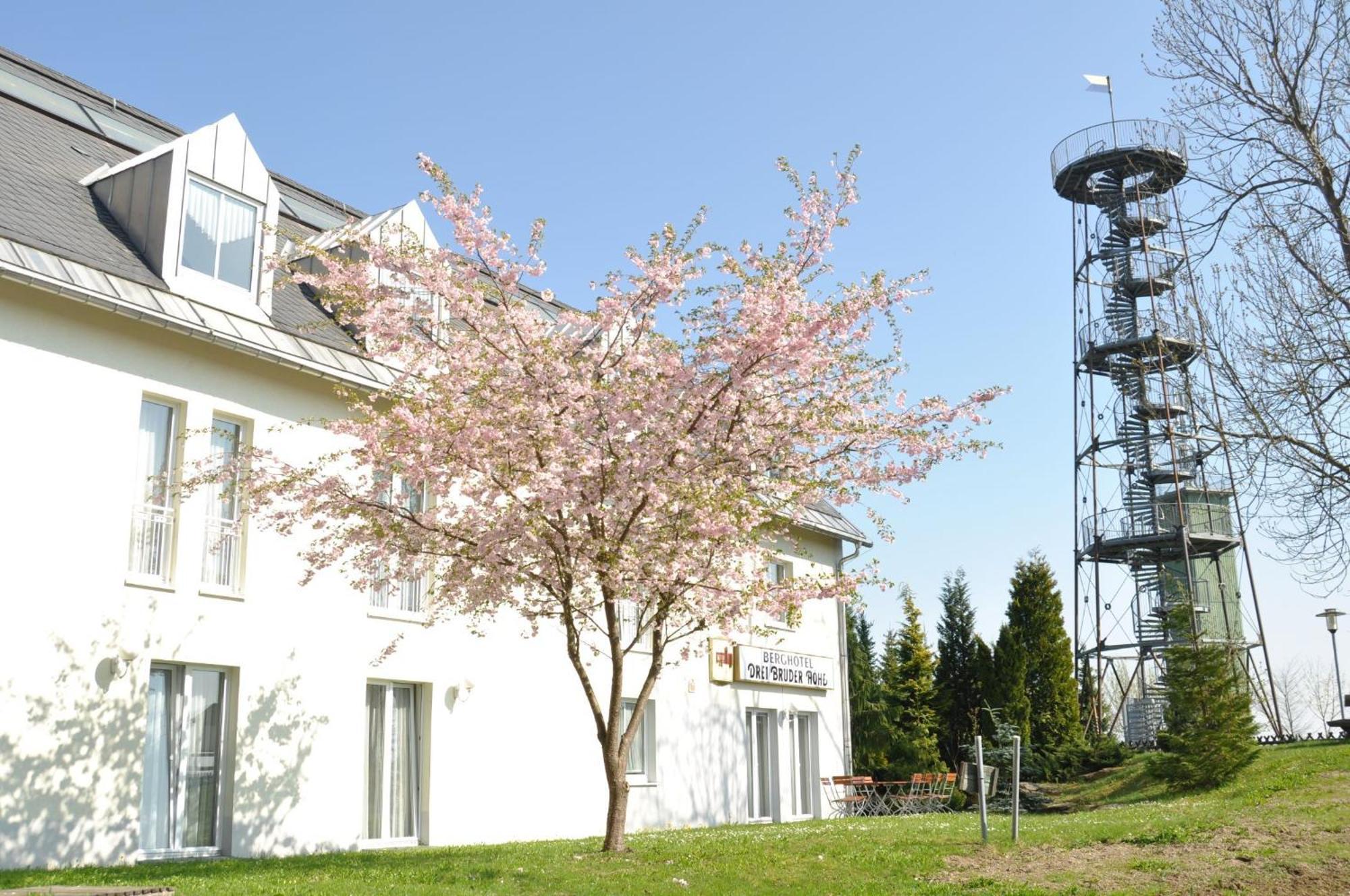 Berghotel Drei Brueder Hoehe Marienberg Dış mekan fotoğraf